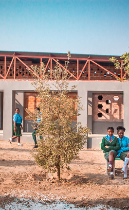 La arquitectura como catalizador social