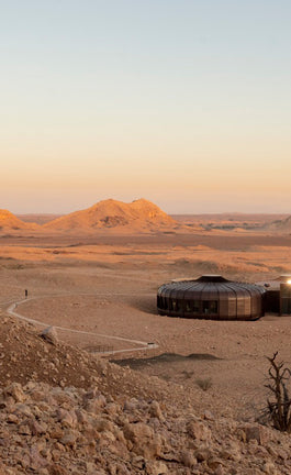 Proyectos que dieron paso al 2020