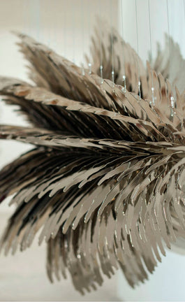 Fin de semana en el MUAC