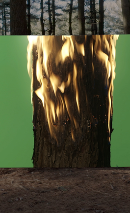 Cambio, una reflexión sobre madera y diseño