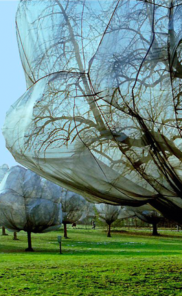 Christo y Jeanne-Claude