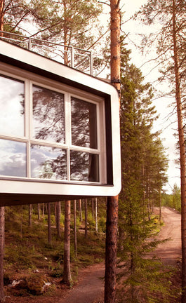 ¿Dormirías sobre un árbol?