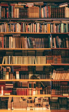 Novelas de arquitectura