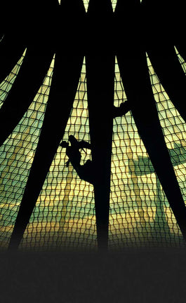 De Brasil al mundo, el legado de Oscar Niemeyer