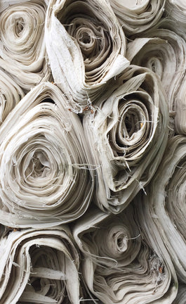 Naturaleza llevada al interior