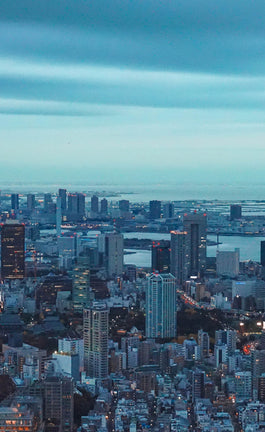 Arquitectura del Pacífico