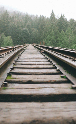 Próxima parada: el diseño