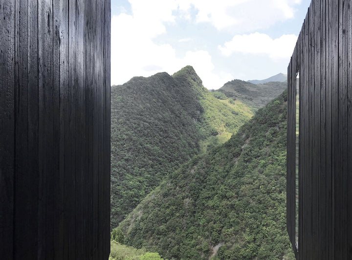 Bienvenido al wellness natural