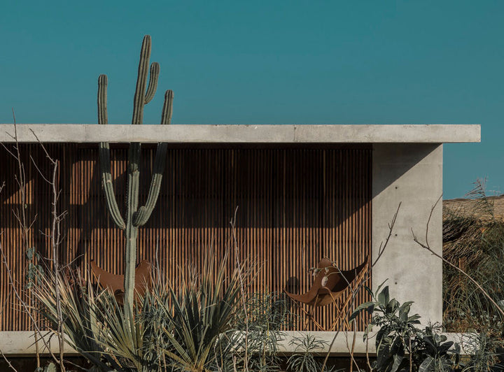 Oaxaca en cinco proyectos