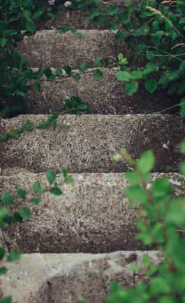 Jardín: "La mayor suma de serenidad de que puede disponer un hombre"*