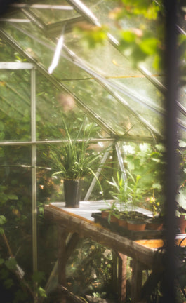 Lo rural en lo urbano